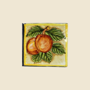 Mattonella quadrata cm 10 x 10  decoro albicocche